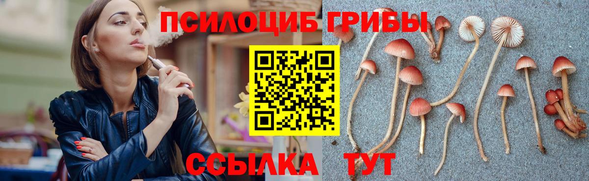 Галлюциногенные грибы мухоморы Верхний Уфалей